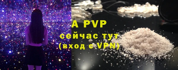 прущая мука Бородино