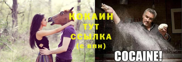 сатива Осташков