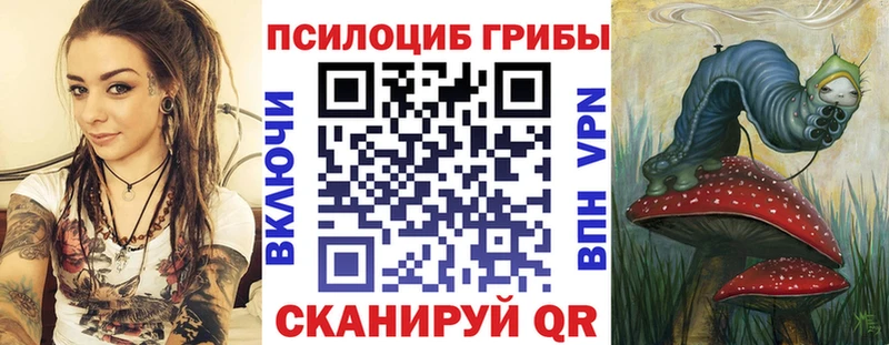 Купить закладки  Макаров  Псилоцибиновые грибы Cubensis 